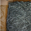 Galvanized/Bright Duplex Nail/Common Nail With Factory Price